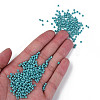 8/0 Czech Opaque Glass Seed Beads SEED-N004-003A-30-5