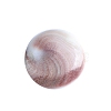 Natural Conch Shells Round Decorations PW-WG89460-01-5