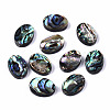 Natural Abalone Shell/Paua Shell Beads SSHEL-T014-09-1