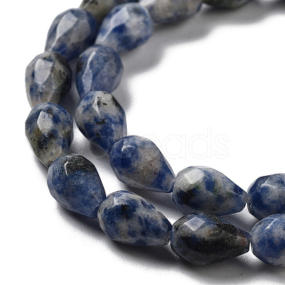 Natural Blue Spot Jasper Beads Strands G-P520-B21-01-1