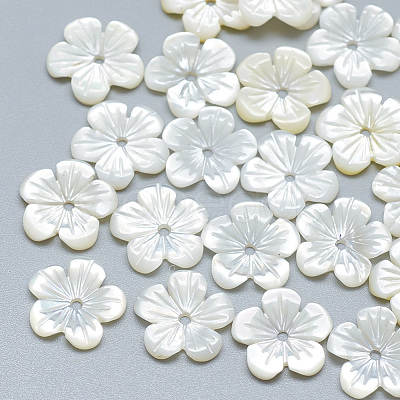 Natural White Shell Beads SSHEL-S260-059B-1