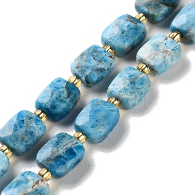 Natural Apatite Beads Strands G-H061-A04-01-1