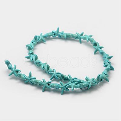 Synthetic Howlite Bead Strand G-P228-16-1