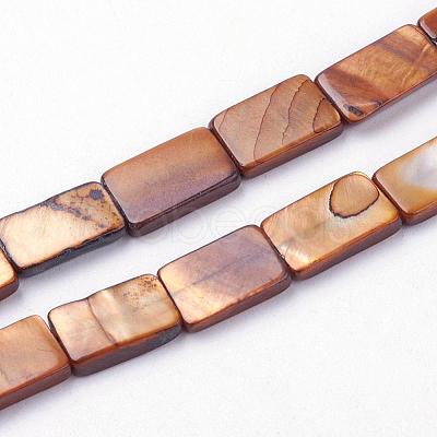 Natural Freshwater Shell Beads Strands BSHE-L036-25-1