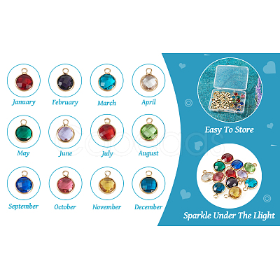 DIY Birthstone Jewelry Making Finding Kit FIND-TA0002-12-1