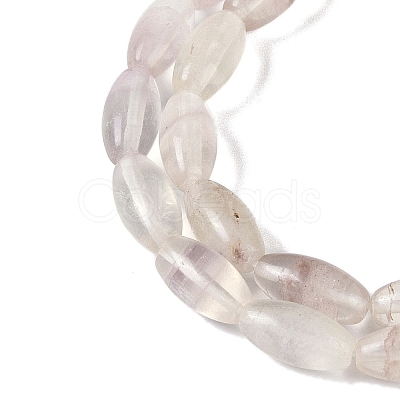 Natural Fluorite Beads Strands G-K362-I11-06-1