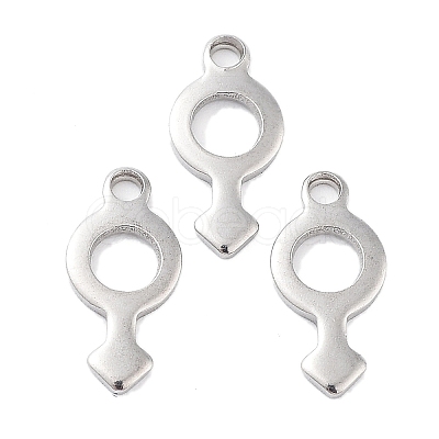 Non-Tarnish 304 Stainless Steel Charms STAS-K274-03P-1