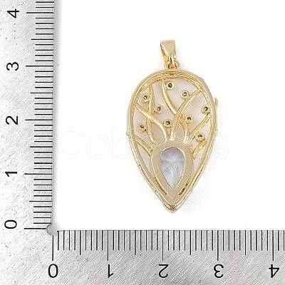 Brass Glass Pendants RGLA-M002-02G-1