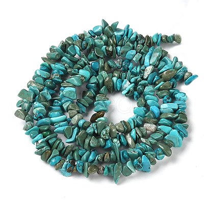 Natural Turquoise Chip Beads Strands X-G-D093-A01-1