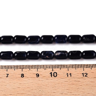 Natural Sodalite Beads Strands G-G980-37A-1