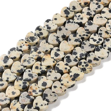 Natural Dalmatian Jasper Beads Strands G-M403-A31-02-1