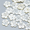 Natural White Shell Beads, Mother of Pearl Shell Beads, Flower, 10x10x2mm, Hole: 1mm