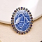 Oval with Dolphin Resin Pin, Alloy Rhinestone Brooch for Backpack Clothes, Royal Blue, 50x40mm