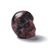 Natural Rhodonite Beads G-I352-04-4