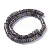 Natural Freshwater Shell Beads Strands BSHE-I016-04-3