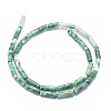 Natural Qinghai Jade Beads Strands G-F631-D15-2