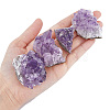 SUPERFINDINGS 4Pcs 4 Style Natural Amethyst Clusters Ornaments G-FH0002-04-3