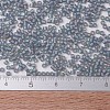 MIYUKI Delica Beads Small SEED-JP0008-DBS0863-4