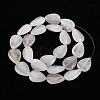 Natural Quartz Crystal Beads Strands G-S299-130-3