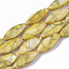 Drawbench Freshwater Shell Beads Strands SHEL-T014-008B-05-1