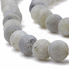 Natural Labradorite Beads Strands G-T106-227-2