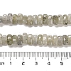 Natural Labradorite Beads Strands G-Q167-B19-01-5