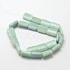 Natural Amazonite Rectangle Beads Strands G-P091-55-2