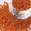 8/0 Glass Seed Beads SEED-A005-3mm-29-1
