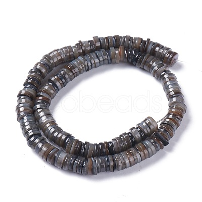 Natural Freshwater Shell Beads Strands BSHE-I016-04-1