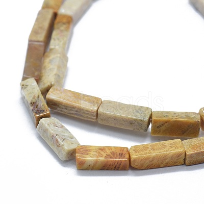 Natural Fossil Coral Beads Strands G-F631-E05-1