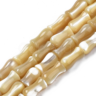 Natural Trochid Shell/Trochus Shell Beads Strands SSHEL-N034-122-A01-1