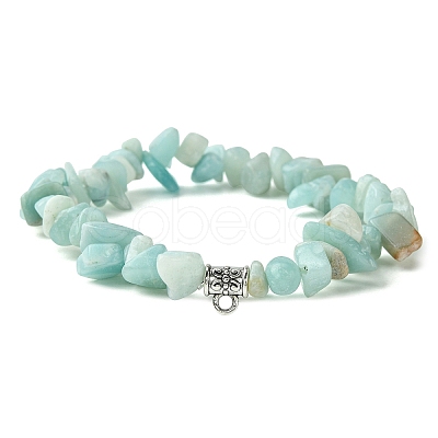 Natural Mixed Gemstone Beads Stretch Bracelets BJEW-JB03860-1