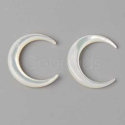 Natural White Shell Mother of Pearl Shell Beads SHEL-N026-68-1