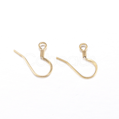 Ion Plating(IP) 304 Stainless Steel French Earring Hooks X-STAS-N0013-15G-1