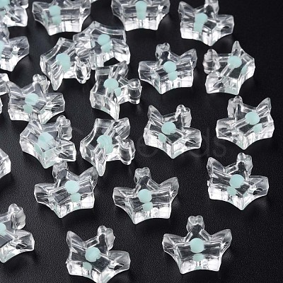 Transparent Acrylic Beads MACR-S373-105-B03-1