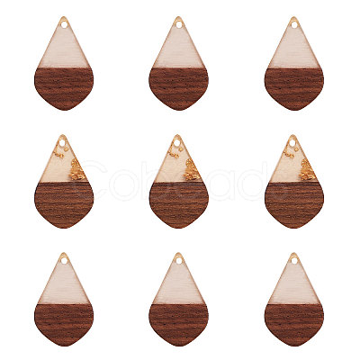 Transparent Resin & Walnut Wood Pendants RESI-CJ0001-51-1