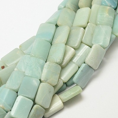 Natural Amazonite Rectangle Beads Strands G-P091-55-1