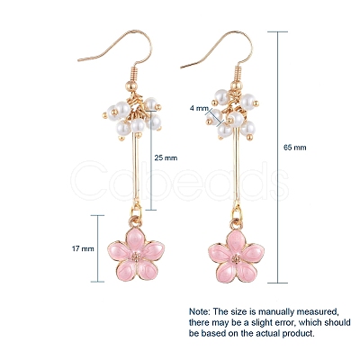 Dangle Earrings EJEW-JE03957-1