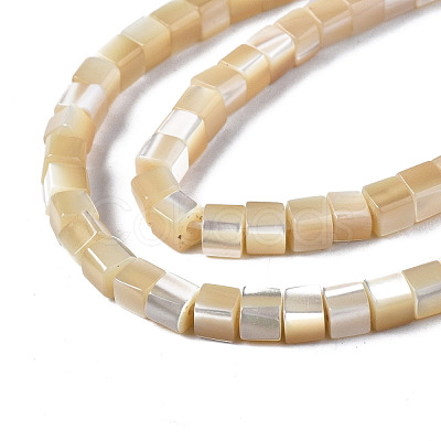 Natural Trochid Shell/Trochus Shell Beads Strands SSHEL-S266-009-1