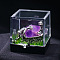 Natural Amethyst Cluster & Miner Modeling Mineral Specimen Box, Raw Stone Micro Landscape Display Decorations, Box: 34x36mm