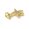 Brass Micro Pave Cubic Zirconia Charms ZIRC-F132-25G-3