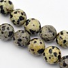 Natural Dalmation Jasper Beads Strands X-G-G542-8mm-07-1