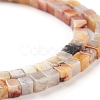 Natural Crazy Lace Agate Beads Strands G-F631-K03-3