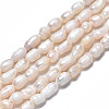 Natural Cultured Freshwater Pearl Beads Strands PEAR-N012-03C-3