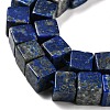 Natural Lapis Lazuli Beads Strands G-Q1008-B07-3