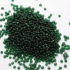 6/0 Glass Seed Beads SEED-J013-F6-17-2