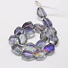 Half Rainbow Plated Faceted Polygon Glass Bead Strands EGLA-J087-07-2