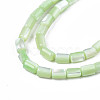 Natural Trochid Shell/Trochus Shell Beads Strands SHEL-N003-26-B08-3