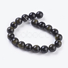 Natural Golden Sheen Obsidian Beads Strands G-C076-10mm-5-2