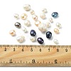Shell Pearl Beads BSHE-XCP0001-06-3